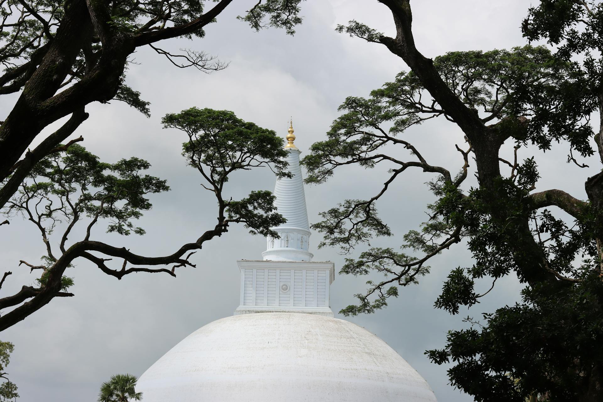 Pilgrimage Tour — photo 2