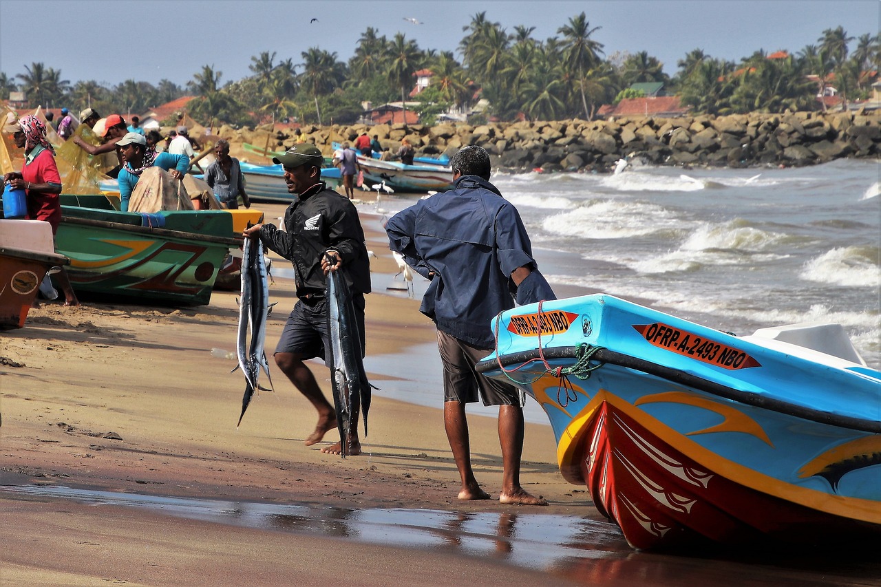 Sri Lanka Summer — photo 3