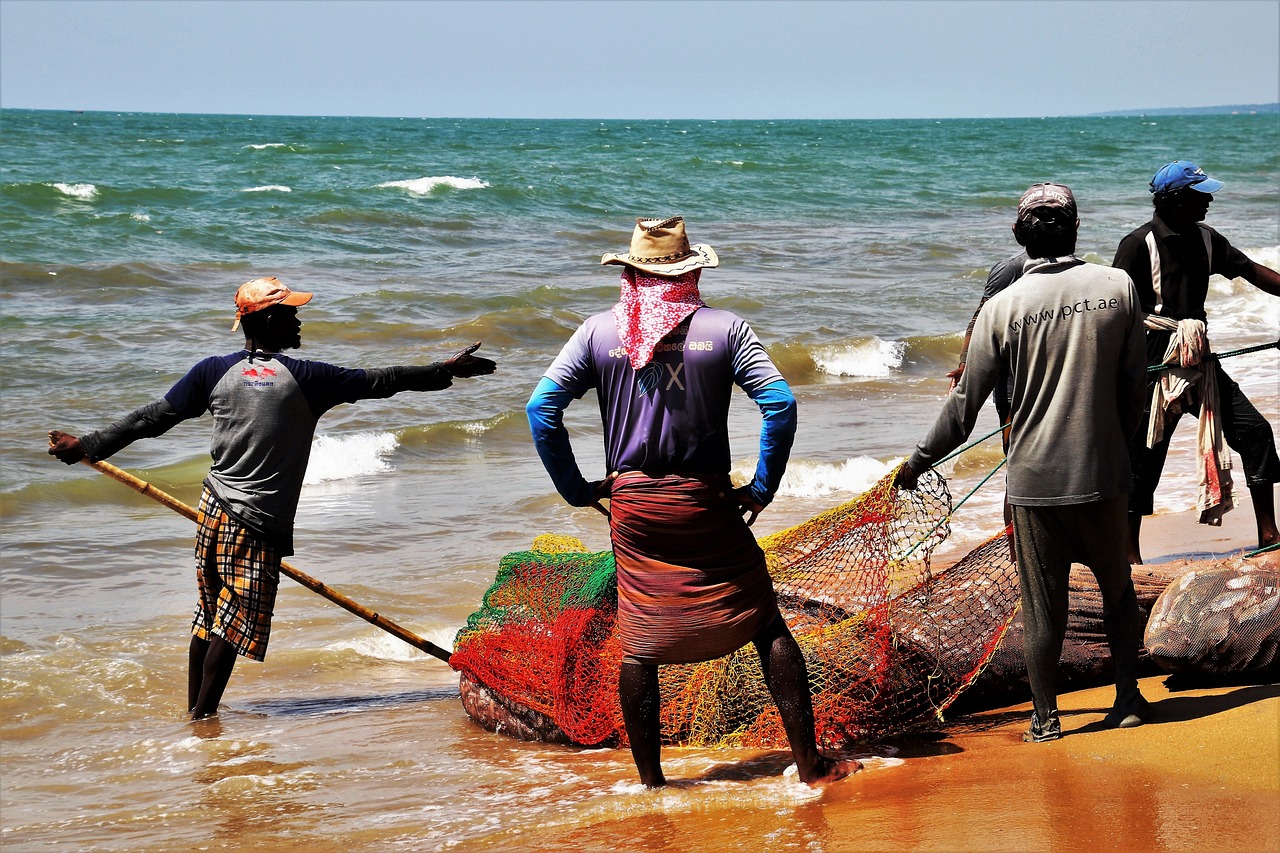 Sri Lanka Summer — photo 4