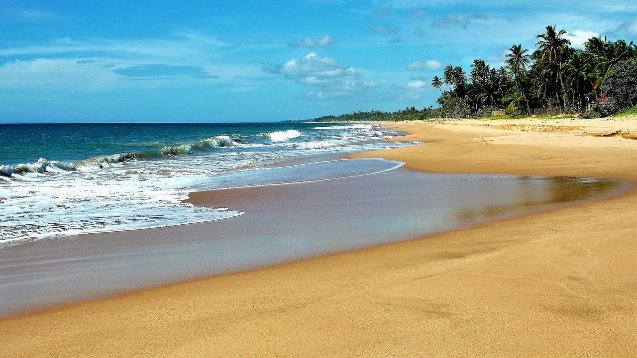 Sri Lanka Summer — photo 6